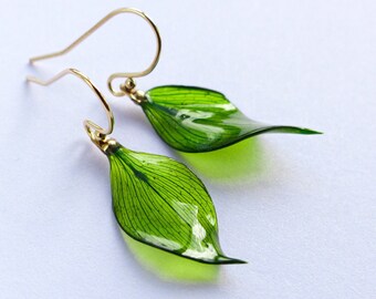 Real green leaf earrings, 14K gold filled / 925 sterling silver dangle earrings, real leaf in resin, green earrings dangle, drop earrings