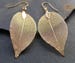 Real leaf earrings, 18K gold leaf earrings, gold earrings dangle, gold dangle earrings, drop statement earrings, boho earrings, gift for her 