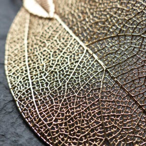 18K Gold Dipped Real Leaf Earrings with Hypoallergenic Hooks image 5