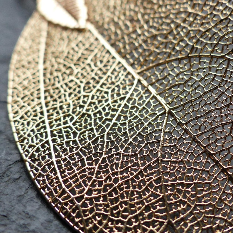 18K Gold Dipped Real Leaf Earrings with Hypoallergenic Hooks image 5