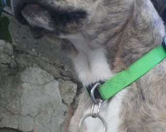 Pet ID Tag, Brass Custom Dog Tag, Personalized Name Laser Engeved Tag, Dog and Cat ID Tag, Brass Custom, Dog Collar Tag, Puppy Name Tag Gift