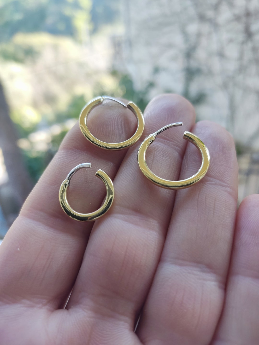 American swiss sleeper devono earrings
