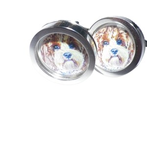 May include: A pair of silver cufflinks with a round, clear glass insert featuring a brown and white dog with blue eyes.