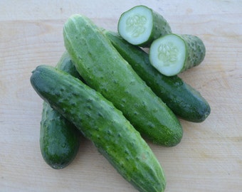 100+ Cucumber Seeds- Straight Eight Heirloom