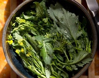 500+ Broccoli Raab (Rabe, Rapini) Seeds