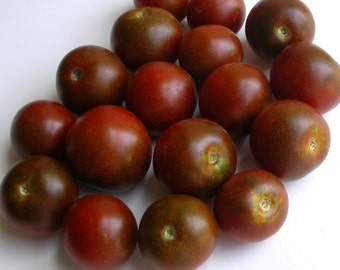 Black Cherry Tomato Seeds- Heirloom Variety- 40+ Seeds
