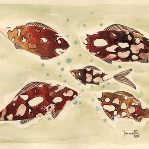 Collage in acquerello e disegno con inchiostro come un collage e una famiglia unica di pesci spugna