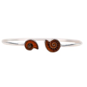 May include: A silver open cuff bracelet with two fossilised ammonite shell designs. The ammonite shells are a warm brown colour with intricate spiral patterns. The bracelet is a simple, elegant design.