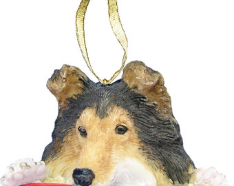 Berger Des Shetland Etsy