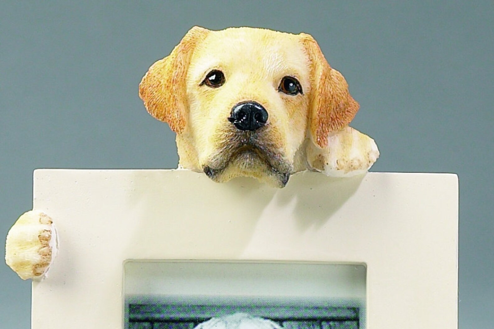 Yellow Labrador Picture Frame makes a Perfect gift for Etsy