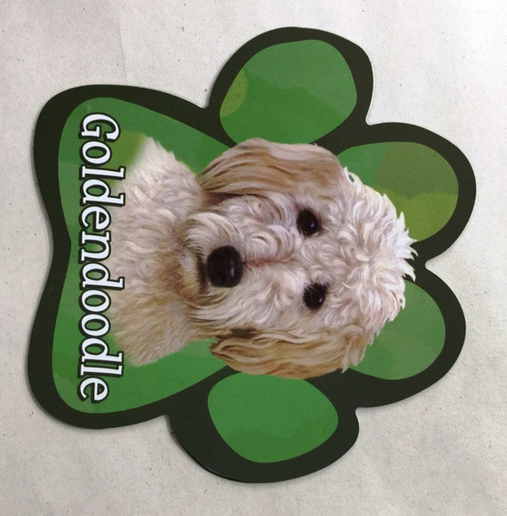 goldendoodle gifts