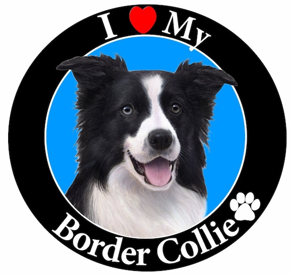 Border Collie Dog Breed Automotive Car Refrigerator Locker Vinyl Magnet