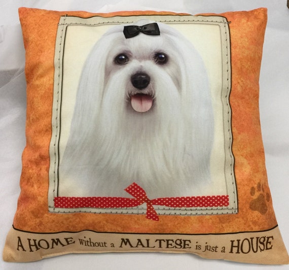 Maltese Gifts Maltese Gift Maltese Pillow Decorative Pillow | Etsy