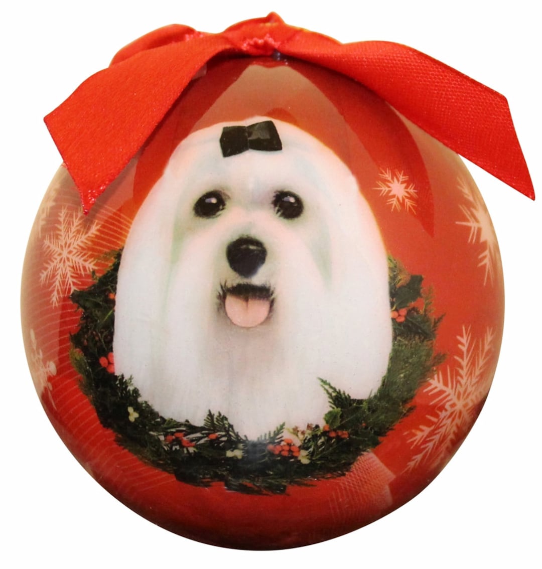 Maltese Christmas Ornament Shatter Proof Ball Maltese Etsy