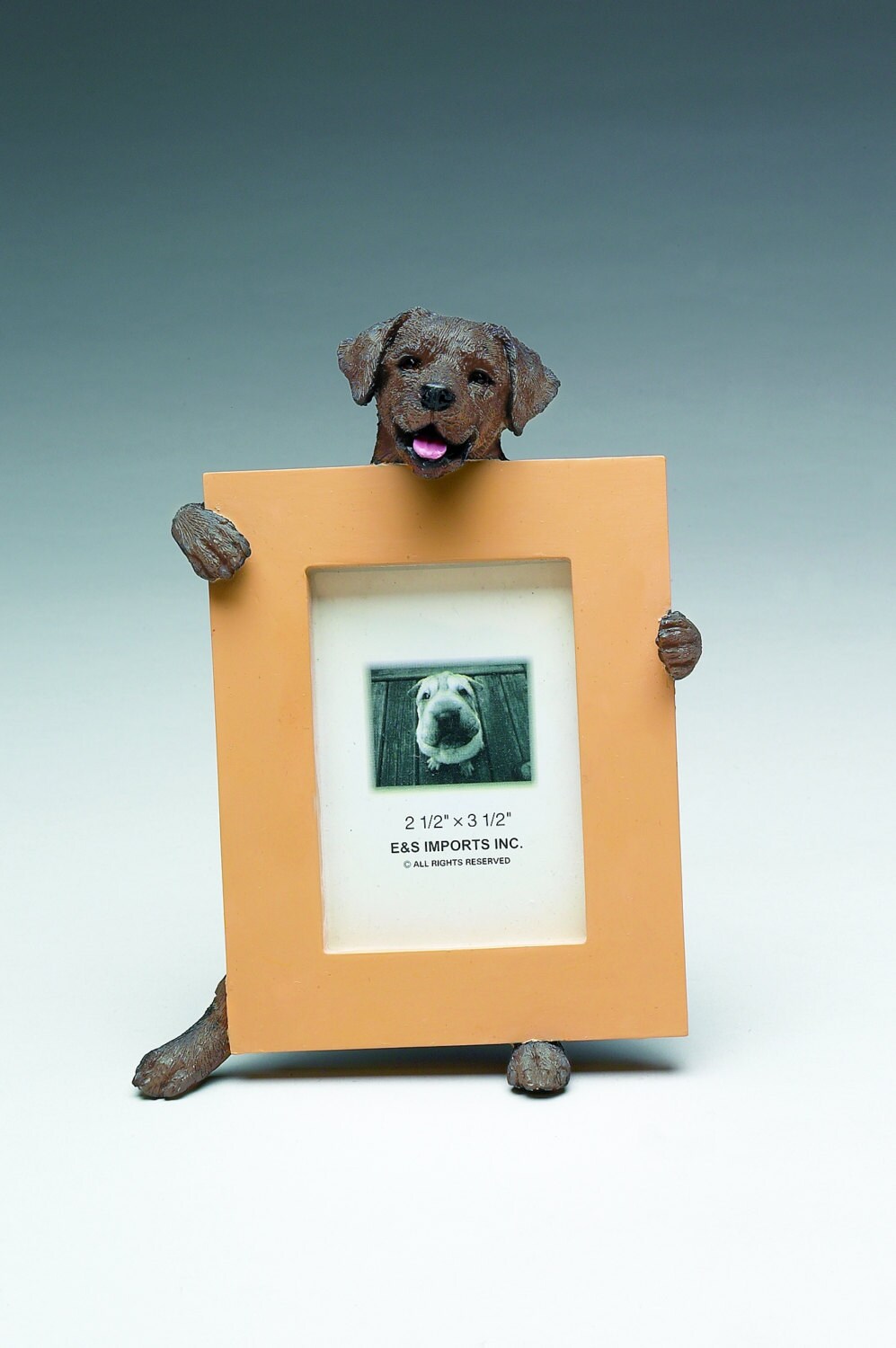 Chocolate Labrador Picture Frame Makes a Perfect Gift for Etsy