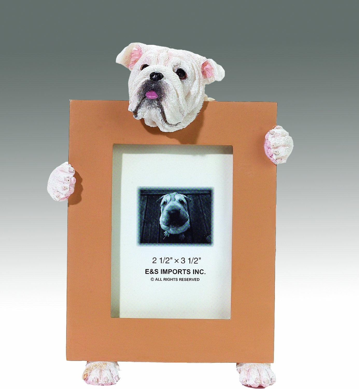 Bulldog Picture Frame Makes A Perfect Gift For 50