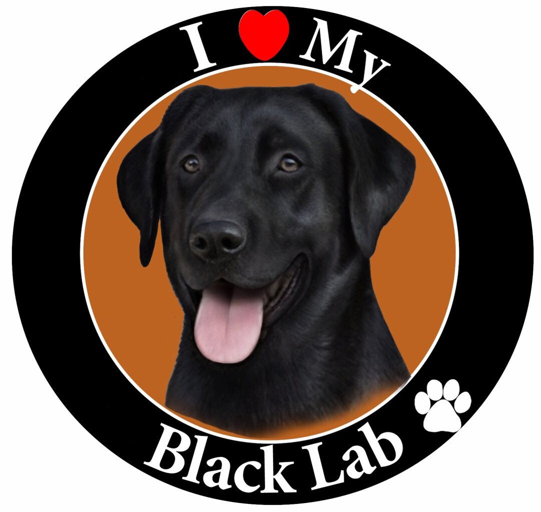 I Love My Black Lab Car With Realistic Looking Black Etsy