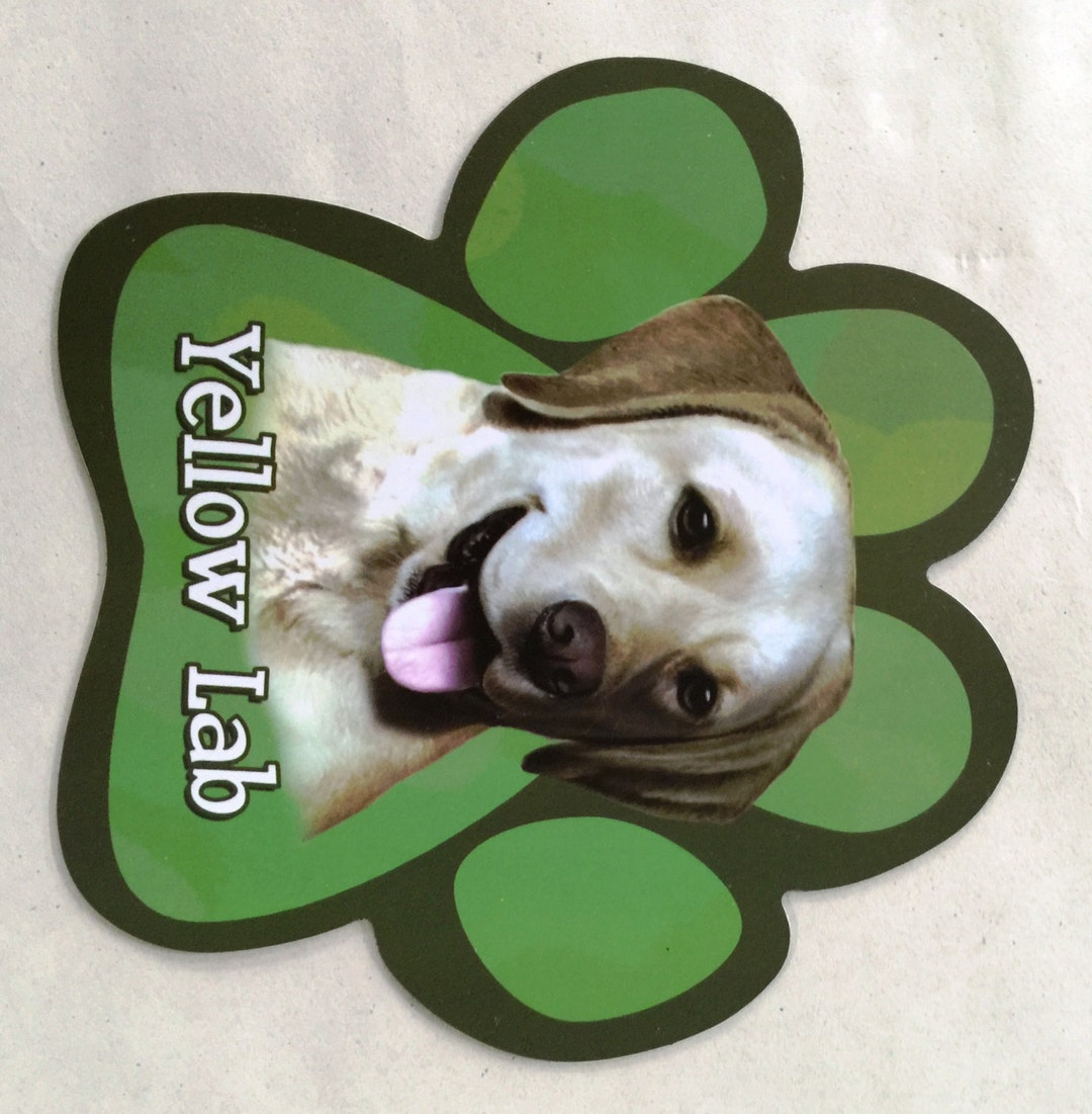 Yellow Lab Car UV Coated With Fade Resistant. Measures Etsy