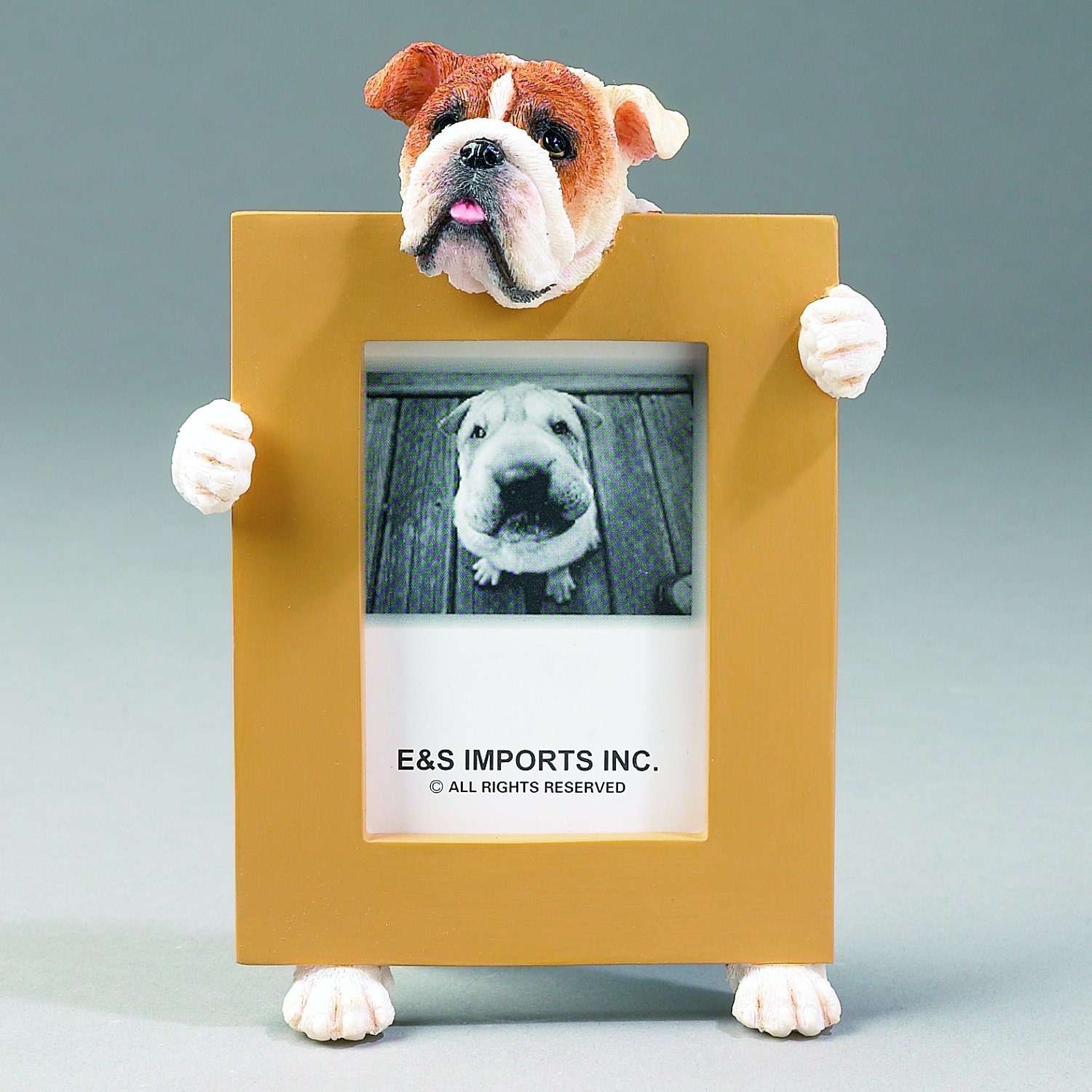 Bulldog Picture Frame Makes A Perfect Gift For Zoom