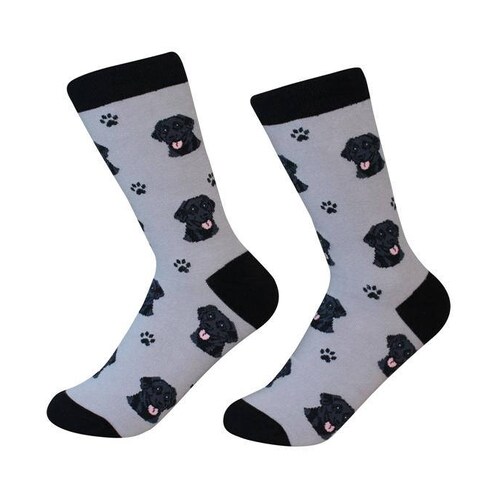 Labrador, black Socks - 200 Needle Count - Cotton Socks - Life Like Detail of  Labrador, black  - Size Women's (5-11)  Men's( 6-10)