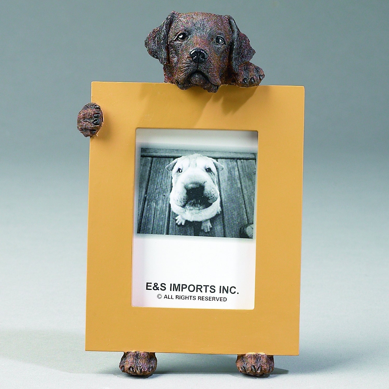 Chocolate Labrador Picture Frame Makes a Perfect Gift for Etsy