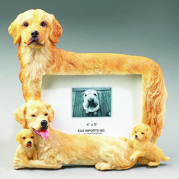 golden retriever picture frame