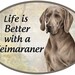 Jack Russell Terrier Dog Shatterproof Ball Ornament 3\" By E & S Pets New