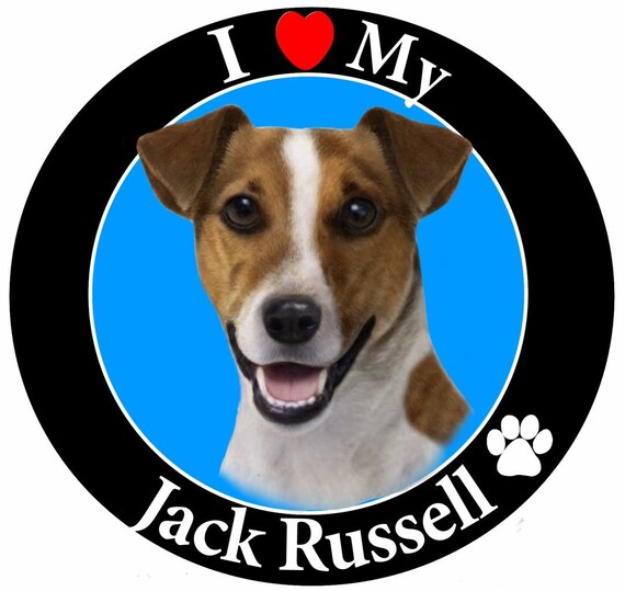 I Love My Jack Russell Car Magnet With Realistic Looking Jack | Etsy