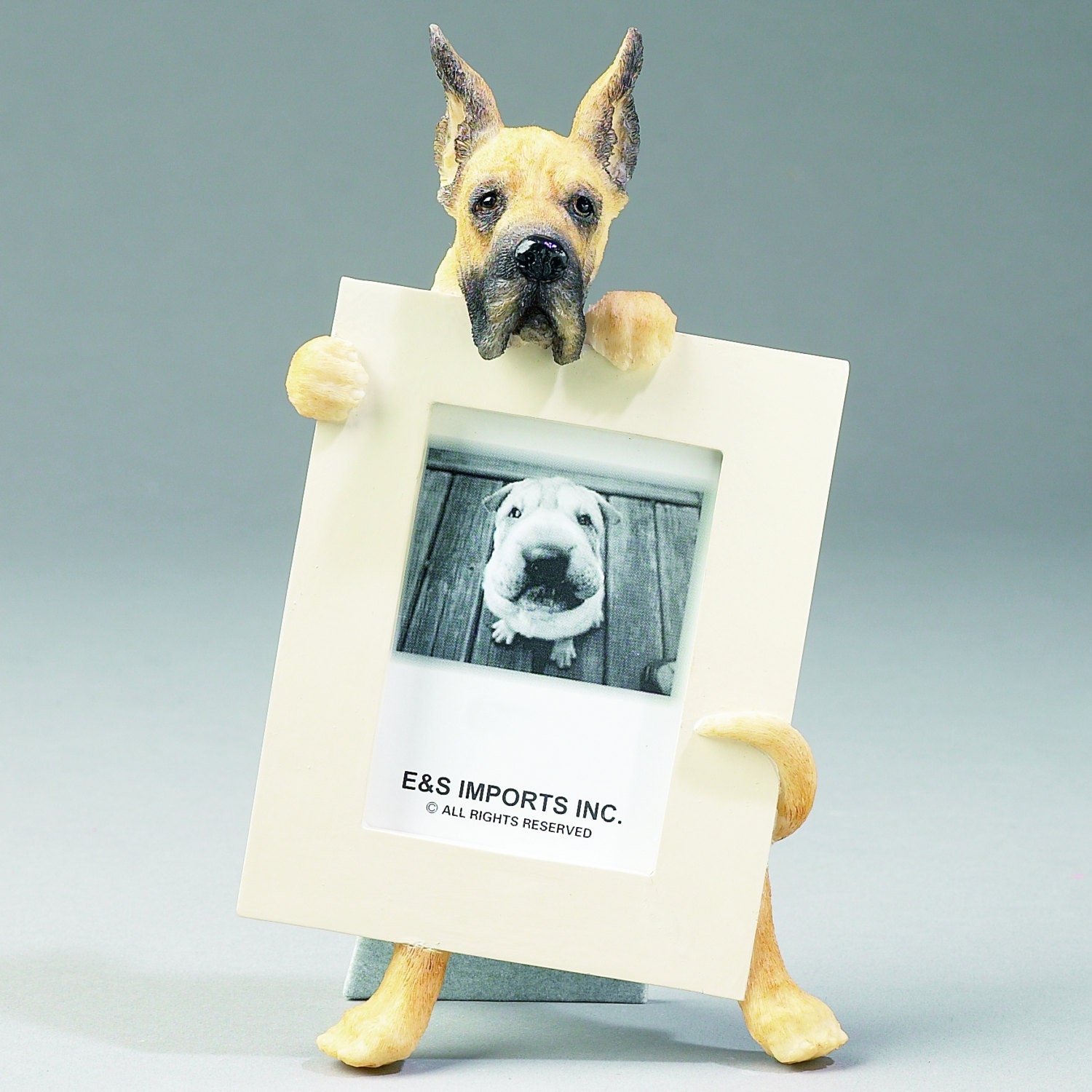 Cropped Great Dane Picture Frame Makes A Perfect Gift For 50