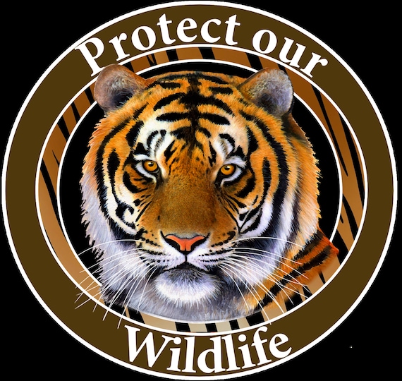 Buy Gifts Our Wildlife Car Magnet Tiger Car in India Etsy