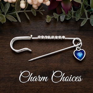 May include: A silver-toned safety pin brooch featuring a row of eight clear round rhinestones along the top bar and a single blue heart-shaped charm dangling from the loop. The text "Charm Choices" is printed in white script below the pin.