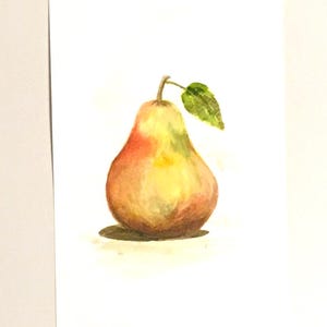 Frutto di pera Dipinto originale acquerello (non stampa)