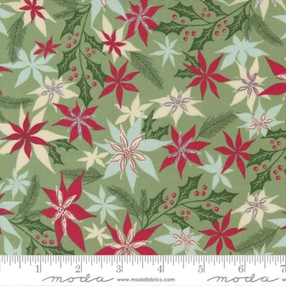 Good News Great Joy-1/2 Yard Increments, Cut Continuously (45561-17 Joyful Petals Eucalyptus) by Fancy That Design House for Moda