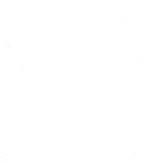 Bella Solids-1/2 Yard Increments, Cut Continuously (9900-436 Super White) - Moda