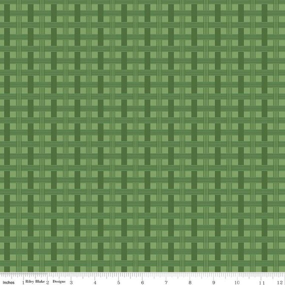 To Grandmother's House-1/2 Yard Increments, Cut Continuously (C14376 Basket Weave Grass) by Jennifer Long for Riley Blake Designs