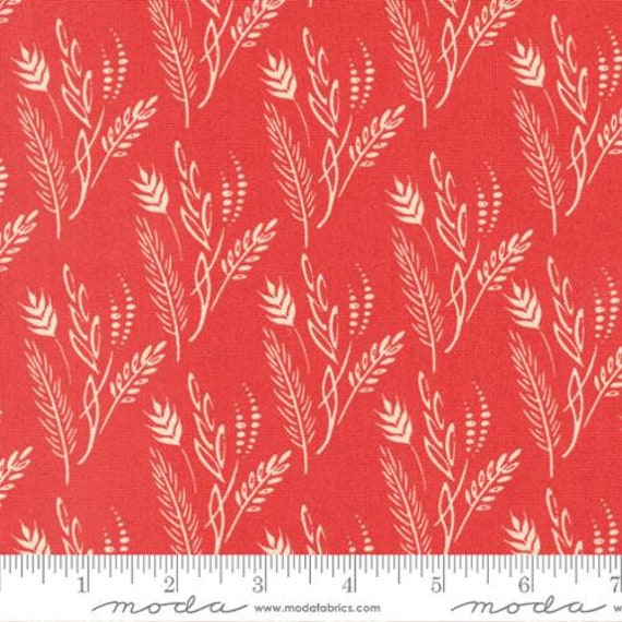Dawn on the Prairie-1/2 Yard Increments, Cut Continuously (45574-24 Grasslands Poppy Field) by Fancy That Design House for Moda
