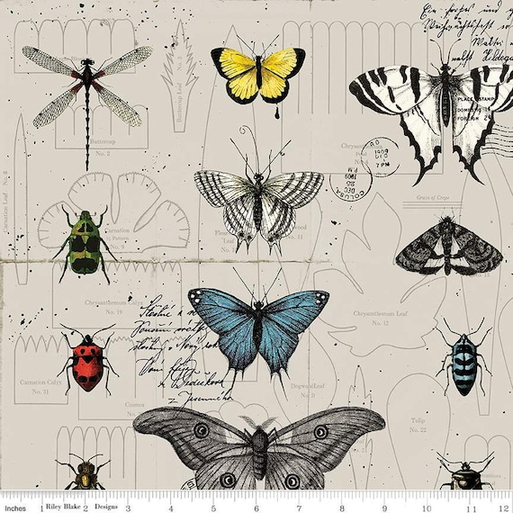 Art Journal- 1/2 Yard Increments, Cut Continuously (LN13043 Linen Natural) by J. Wecker Frisch for Riley Blake Designs