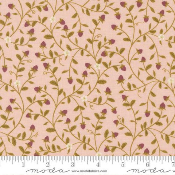 Evermore-1/2 Yard Increments, Cut Continuously (43151-12 Strawberry Tangle Strawberry Cream) by Sweetfire Road for Moda