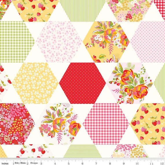 Picnic Florals-1/2 Yard Increments, Cut Continuously (C14617 Cheater Print Multi) by My Mind's Eye for Riley Blake Designs