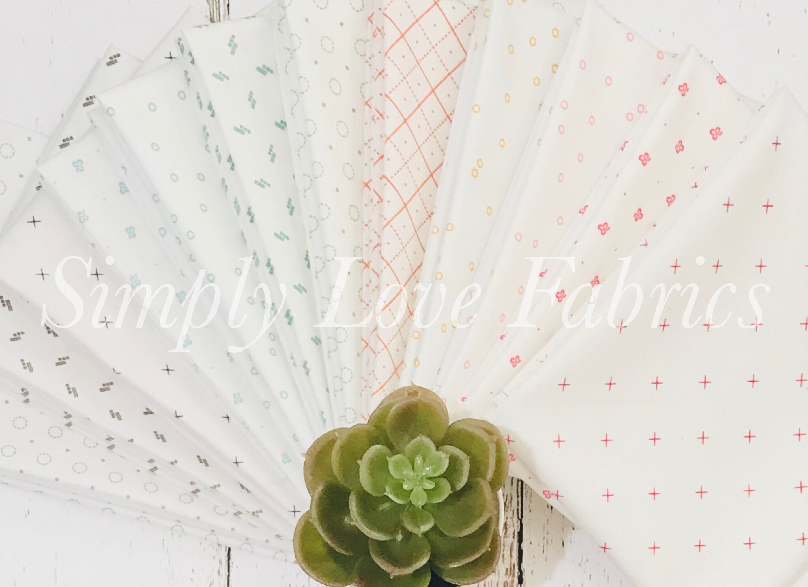 Bee Backgrounds New Colors! Fat Quarter Bundle (12 Fabrics) by Lori