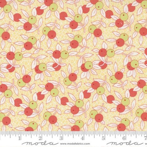 Fruit Cocktail-1/2 Yard Increments, Cut Continuously (20463-18 Pineapple Garden Blender) by Fig Tree Co for Moda