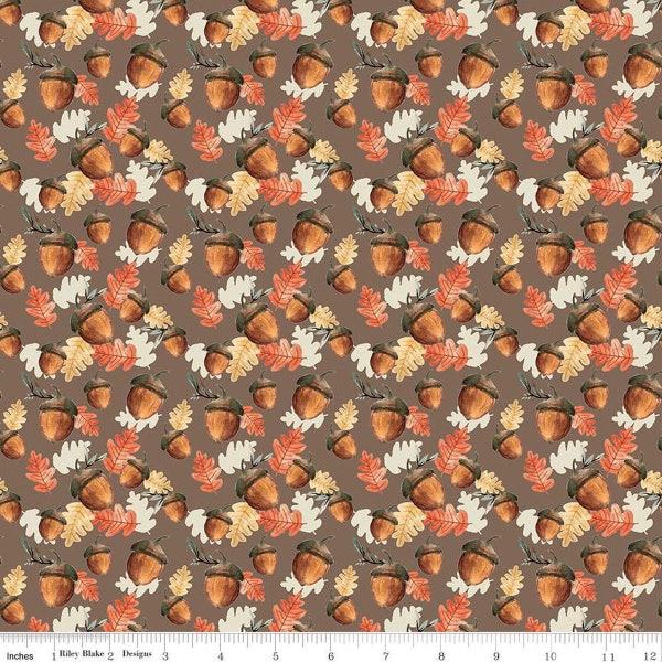 Shades of Autumn- 1/2 Yard Increments, Cut Continuously (C13473 Acorns Brown) by My Mind's Eye for Riley Blake Designs
