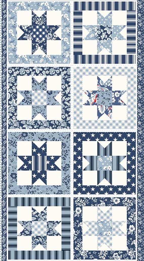 Freedom Garden Star Panel 24"x43" (P15627) by My Mind's Eye for Riley Blake Designs