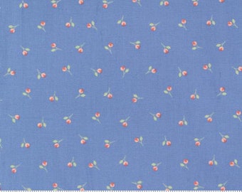 Sunwashed- 1/2 Yard Increments, Cut Continuously (29164 20 Sky) by Corey Yoder for Moda Fabrics