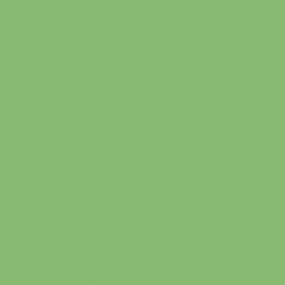 Confetti Cotton Solids - C120 - Green Smoothie - 1/2 Yard Increments, Cut Continuously by Riley Blake Designs
