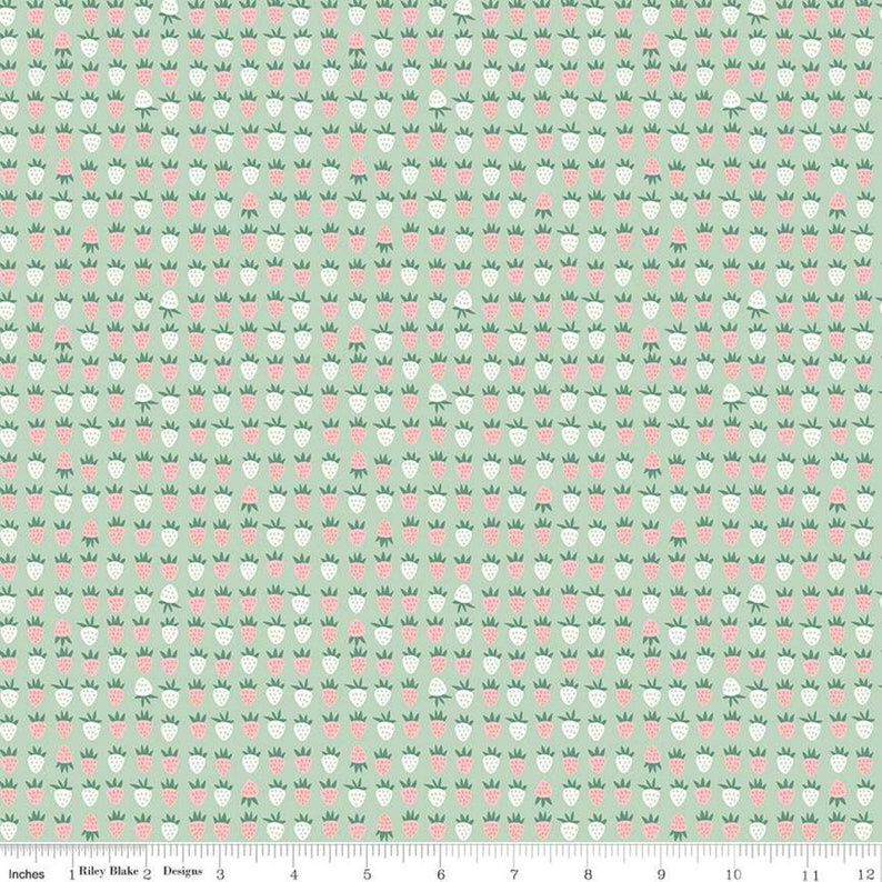 New Dawn 12 Yard Increments C9853 Blush Strawberry by Citrus and Mint for Riley Blake Designs Cut Continuously