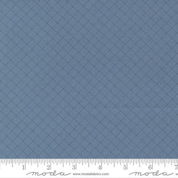 Sunnyside - 1/4 Yard (55283-14 Graph Lakeside) by Camille Roskelley for Moda