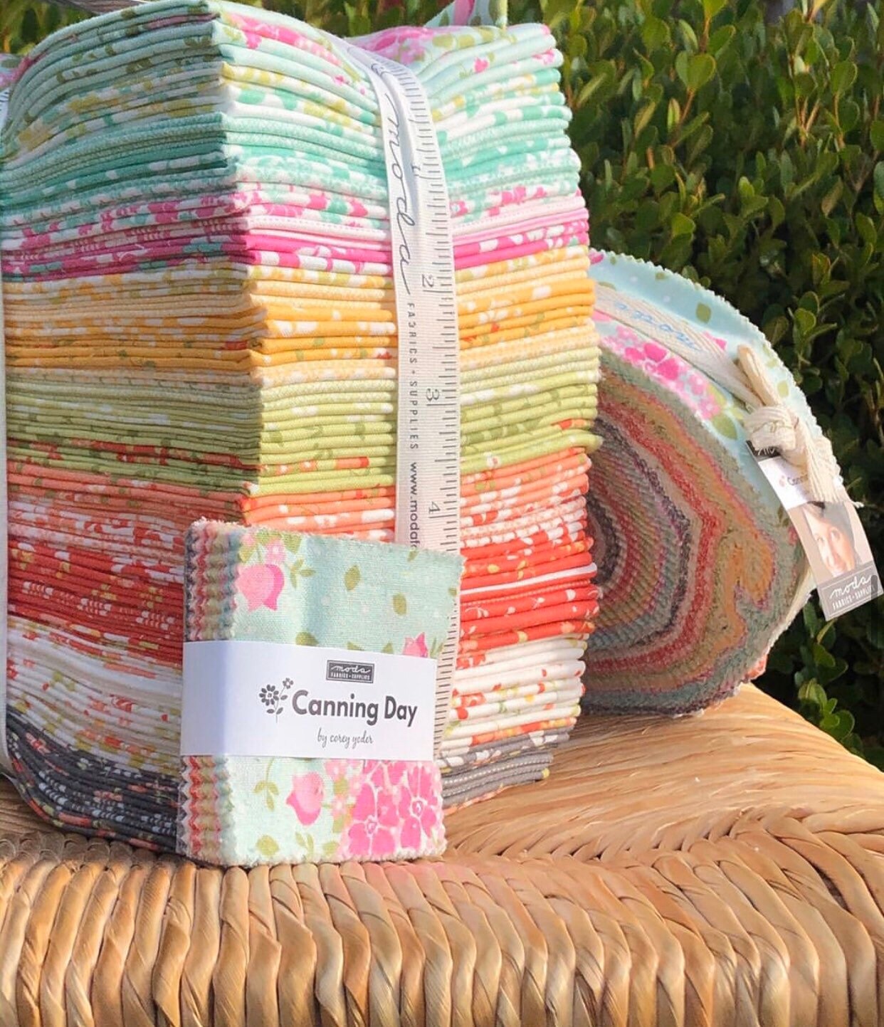 Mini Charm Pack Canning Day by Corey Yoder for Moda Fabrics29080MC 42