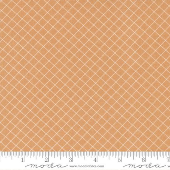 Sunnyside-1/2 Yard Increments, Cut Continuously (55283-18 Graph Apricot) by Camille Roskelley for Moda