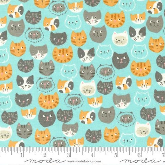 Here Kitty Kitty-1/2 Yard Increments, Cut Continuously (20830-18 Here Kitty Kitty Aqua) by Stacy Iest Hsu for Moda